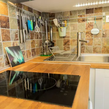 Hotel Riverside Studio In Chamonix-sud *