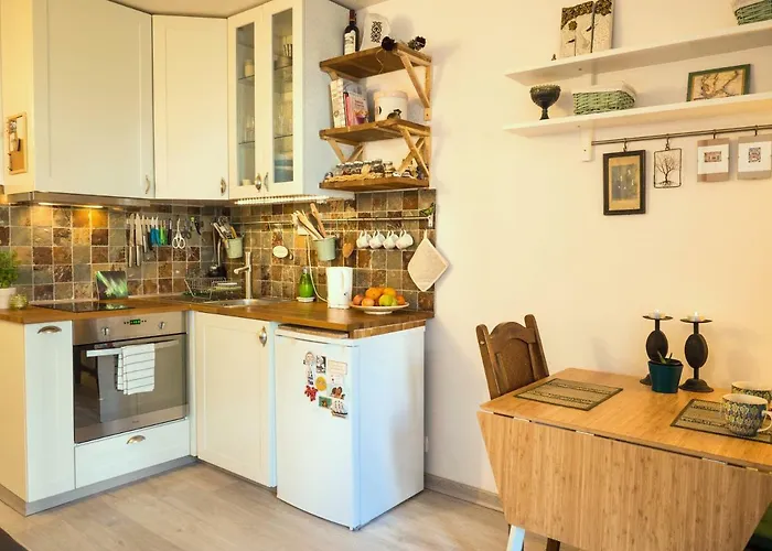 Hotel Riverside Studio In Chamonix-sud